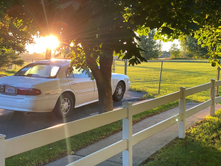 Stepping Back Into the World